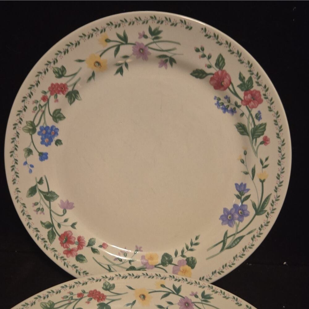 Farberware English Garden 4241 Stoneware Dinner Plates Set of 2 Floral Beige